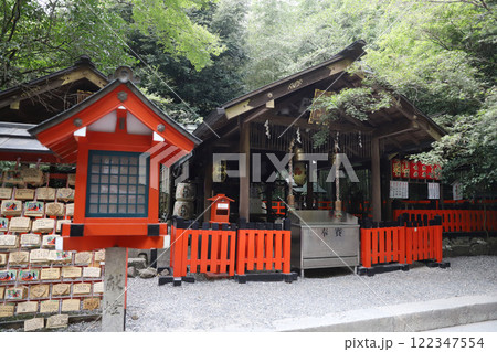 野宮神社　ののみやじんじゃ　京都　嵐山　嵯峨野 122347554