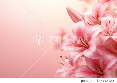 lilies on pink background, copy space for text 122348182