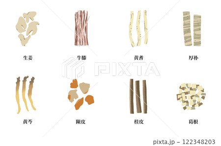 生薬一覧セット 漢方の材料イラスト 生薬一覧セット 漢方の材料イラスト 122348203