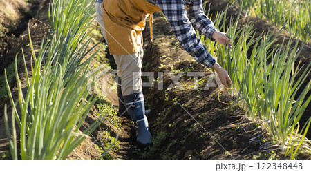 畑で働く女性の風景 122348443
