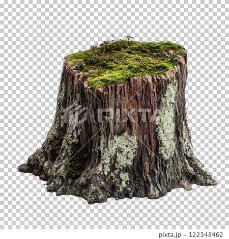decayed tree stump with moss growing on it, isolated on a white background decayed tree stump with moss growing on it, isolated on a white background 122348462