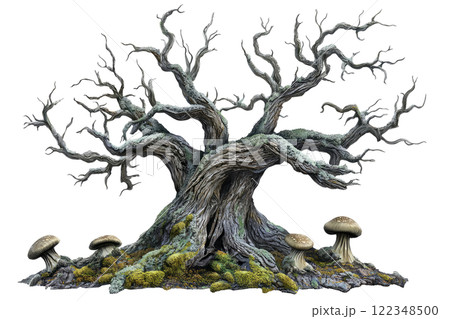 barren old tree with moss and fungi, isolated on a clean white background. 122348500