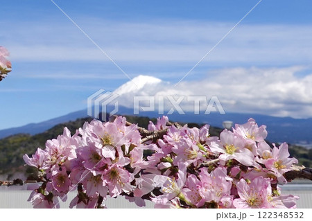 富士山とサクラ 富士山とサクラ 122348532