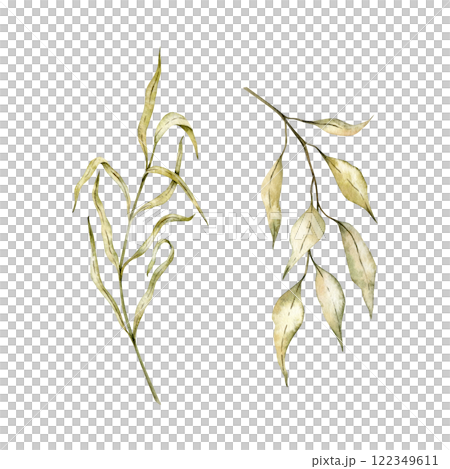 Autumn branches set with yellow and green leaves on isolated background. Watercolor drawing of Dried leaves, bleached grass for harvest festival invitations or seasonal greeting cards Botanical 122349611