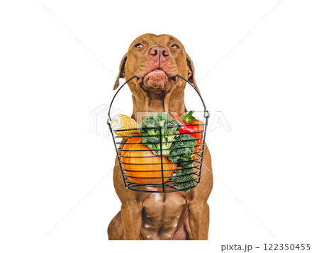 Lovable puppy and small basket of fresh vegetables 122350455
