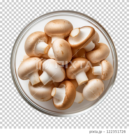 盤子裡的新鮮蘑菇 122351726