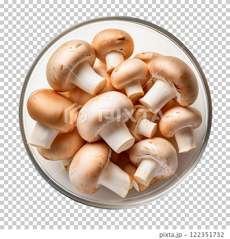 盤子裡的新鮮蘑菇 122351732