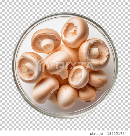 盤子裡的新鮮蘑菇 122351734