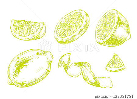 Set of slice and whole lemon, peel or zest of Lemon and isolated on white background. Vector ink vintage engraving illustration for menu, web and label. Hand drawn in a graphic linear drawing citrus. Set of slice and whole lemon, peel or zest of Lemon and isolated on white background. Vector ink vintage engraving illustration for menu, web and label. Hand drawn in a graphic linear drawing citrus. 122351751