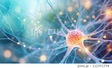 ニューロンなどの神経細胞が脳内のネットワークで情報を伝達しているイメージの3Dイラスト  医療系素材 122351754