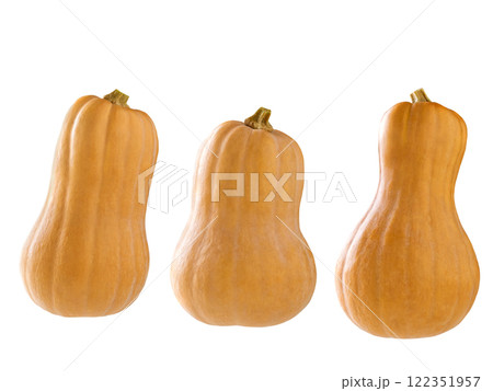 Fresh butternut squash isolated on a white background. 122351957