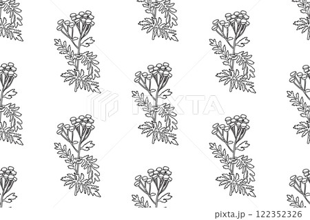 Line art floral pattern seamless abstract background. Black and white outline repeating botanical wildflowers vector illustration. Graphic design for Print Wallpaper Cover Fabric Wrapping Wedding Card 122352326