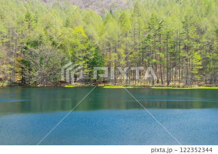 新緑の御射鹿池 新緑の御射鹿池 122352344