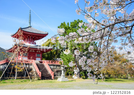 桜と赤い多宝塔　大覚寺 122352816