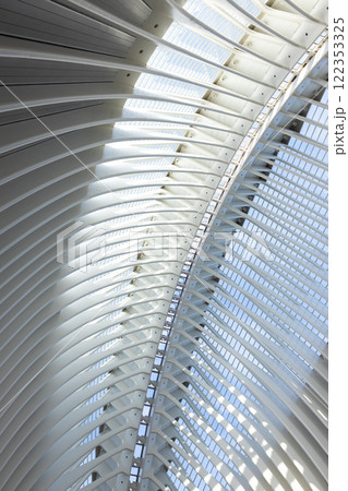 Close-up of abstract roof construction. Arts and Sciences City, Valencia. Spanish modern architecture, futuristic structure Close-up of abstract roof construction. Arts and Sciences City, Valencia. Spanish modern architecture, futuristic structure 122353325