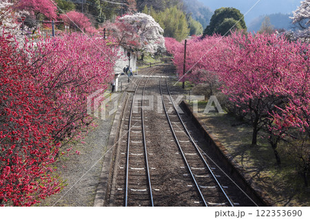 花咲く神戸駅 122353690