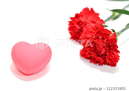 赤いカーネーション 122353805