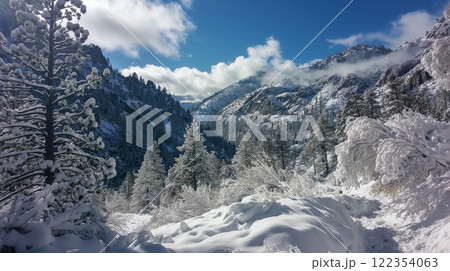 Pristine snow covers a mountain pass, surrounded by lush pine trees under a clear blue sky Pristine snow covers a mountain pass, surrounded by lush pine trees under a clear blue sky 122354063