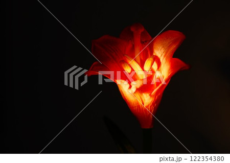 美しく艶やかに咲くゆりの花 122354380