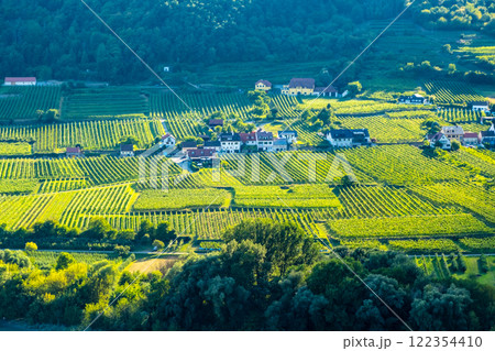 Vineyards and Donau river in Wachau valley Austria with autumn colored leaves small traditional village on sunny day. Traditional wine and tourism region, Vineyards and Donau river in Wachau valley Austria with autumn colored leaves small traditional village on sunny day. Traditional wine and tourism region, 122354410