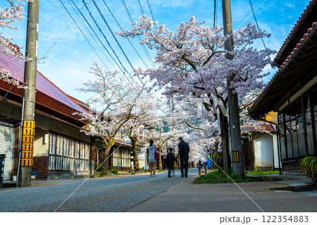 春の新庄宿　満開のがいせん桜11　岡山県真庭郡新庄村 122354883