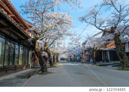春の新庄宿　満開のがいせん桜18　岡山県真庭郡新庄村 122354885
