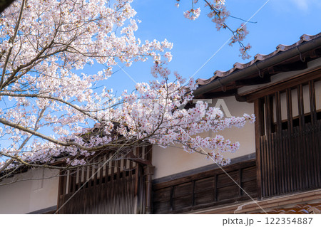 春の新庄宿　満開のがいせん桜16　岡山県真庭郡新庄村 122354887