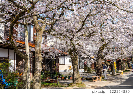 春の新庄宿 満開のがいせん桜14 岡山県真庭郡新庄村 春の新庄宿 満開のがいせん桜14 岡山県真庭郡新庄村 122354889