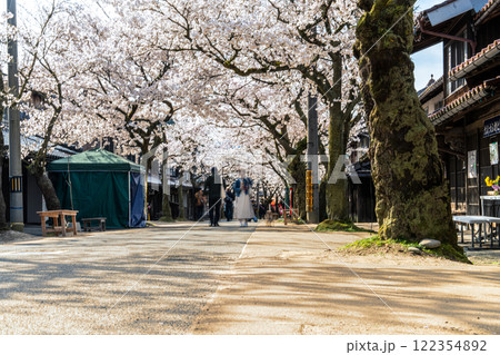 春の新庄宿　満開のがいせん桜1　岡山県真庭郡新庄村 122354892