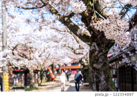 春の新庄宿　満開のがいせん桜6　岡山県真庭郡新庄村 122354897