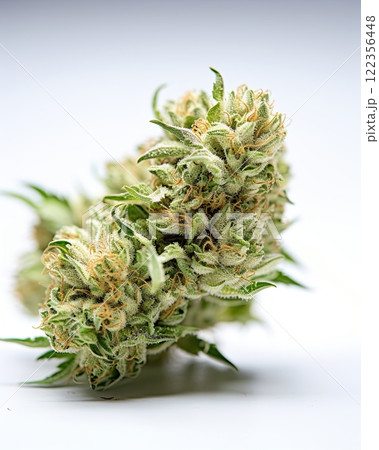 Medical marijuana flower. Close up cannabis flower. Medical marijuana bud. White background. Ai Generative 122356448