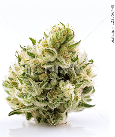 Medical marijuana flower. Close up cannabis flower. Medical marijuana bud. White background. Ai Generative 122356449