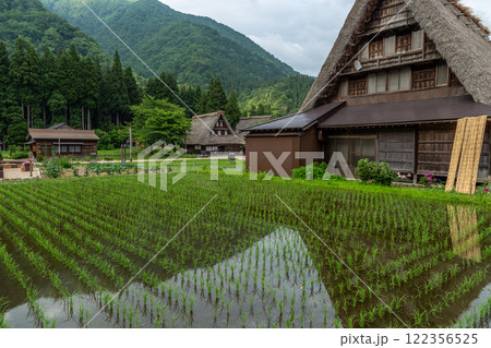 初夏の世界遺産 五箇山合掌造り(菅沼合掌造り) 初夏の世界遺産 五箇山合掌造り(菅沼合掌造り) 122356525