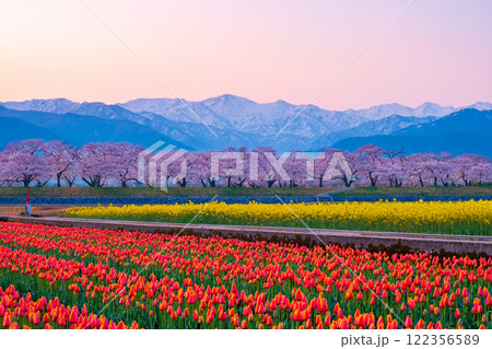 あさひ舟川・春の四重奏 122356589
