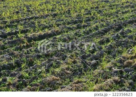 使っていない農地 122356623