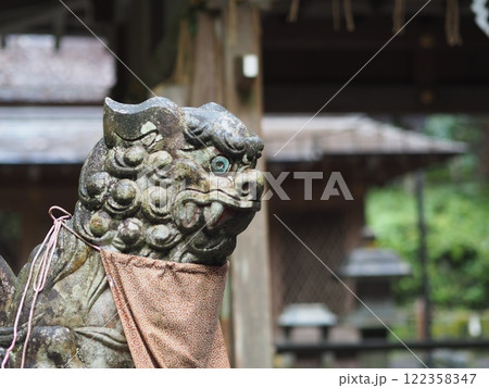 神社の境内にある獅子の石像 神社の境内にある獅子の石像 122358347