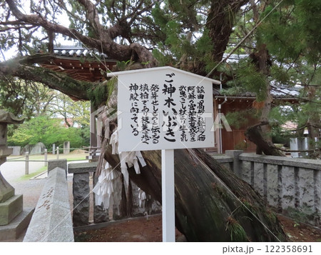 高砂神社、兵庫県高砂市、相生の松で知られ、能・謡曲の高砂の舞台の一つ 122358691