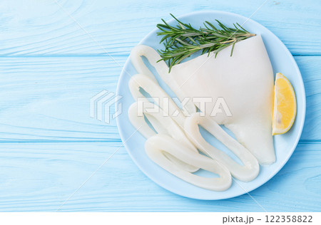 Squid tube and ring photography . Seafood top view Squid tube and ring photography . Seafood top view 122358822