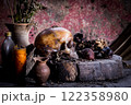 Human skull on old wood background, still life 122358980