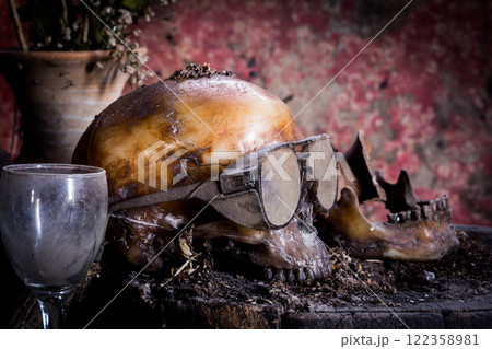 Human skull on old wood background, still life 122358981