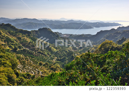 法華津トンネル出口から農道に入った所から眺める景色 122359393