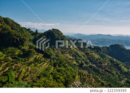 法華津トンネル出口から農道に入った所から眺める景色 法華津トンネル出口から農道に入った所から眺める景色 122359395