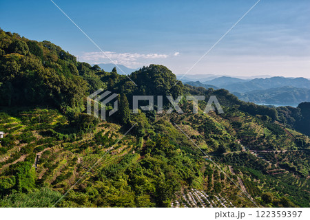 法華津トンネル出口から農道に入った所から眺める景色 法華津トンネル出口から農道に入った所から眺める景色 122359397