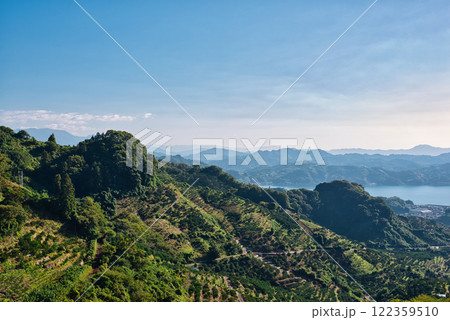 法華津トンネル出口から農道に入った所から眺める景色 122359510