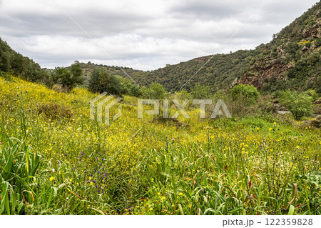 Beautiful landscape with wildflower meadows in Parque Natural do Vale do Guadiana, near Mertola, Portugal, Alentejo 122359828