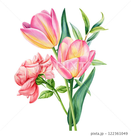 watercolor bouquet pink tulips, rose, leaves. Delicate floral illustration hand-painted botanical art for wedding decor 122361049
