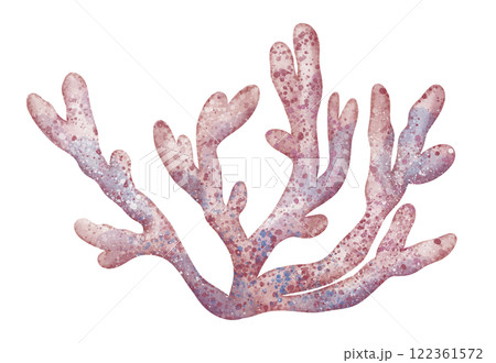 Watercolor Coral Reef. Illustration of sea object in pastel pink colors for childish greeting cards or kids invitations in nautical style. Drawing of underwater marine plant for icon or logo Watercolor Coral Reef. Illustration of sea object in pastel pink colors for childish greeting cards or kids invitations in nautical style. Drawing of underwater marine plant for icon or logo 122361572