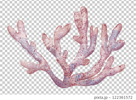 Watercolor Coral Reef. Illustration of sea object in pastel pink colors for childish greeting cards or kids invitations in nautical style. Drawing of underwater marine plant for icon or logo Watercolor Coral Reef. Illustration of sea object in pastel pink colors for childish greeting cards or kids invitations in nautical style. Drawing of underwater marine plant for icon or logo 122361572