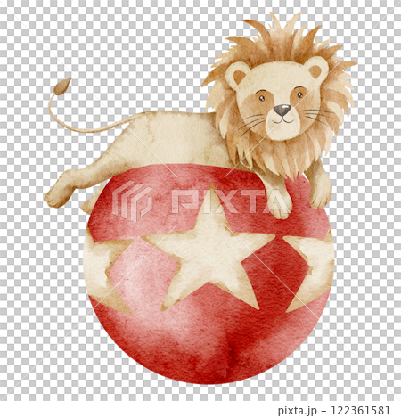 Watercolor illustration of a cute Circus Lion on red ball with stars. Art of Carnival animal for performance posters or childish greeting cards. Drawing for baby shower party invitations. 122361581