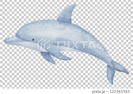 Dolphin watercolor illustration in pastel blue colors. Drawing of flippered mammal marine animal for childish greeting cards or baby invitations. Art of Porpoise for nursery wall art 122361583